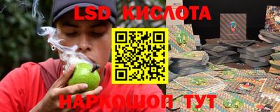 прущие грибы Можайск