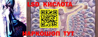 прущие грибы Можайск