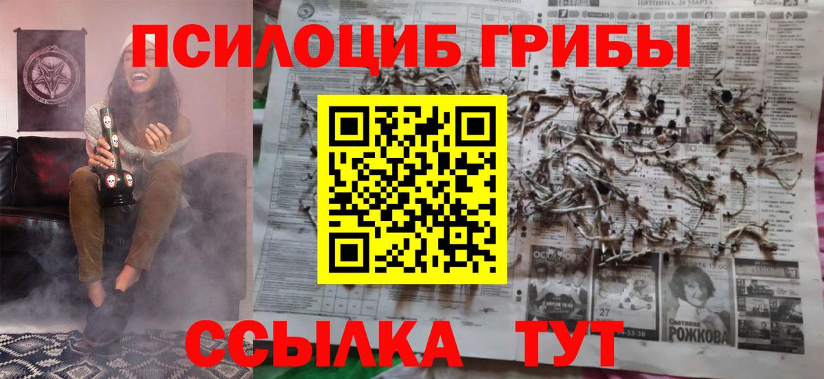 Псилоцибиновые грибы GOLDEN TEACHER Волжск